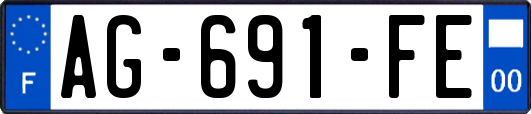 AG-691-FE