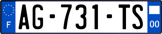 AG-731-TS