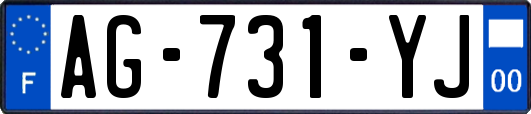 AG-731-YJ