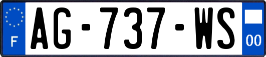 AG-737-WS