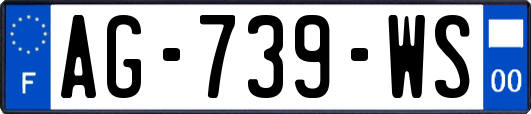 AG-739-WS