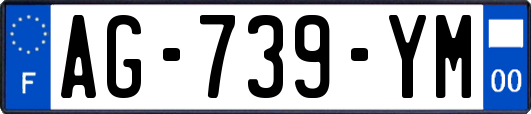 AG-739-YM
