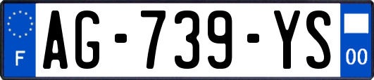 AG-739-YS