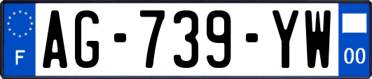 AG-739-YW