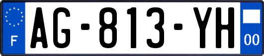 AG-813-YH