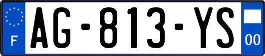 AG-813-YS