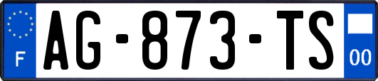 AG-873-TS