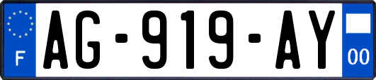 AG-919-AY