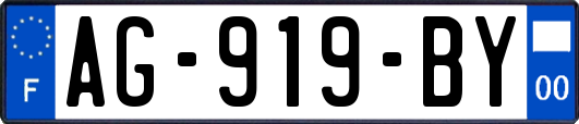 AG-919-BY