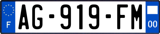 AG-919-FM