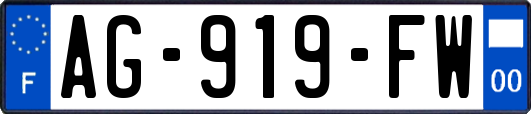 AG-919-FW