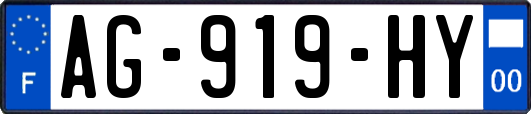 AG-919-HY