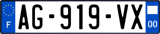 AG-919-VX