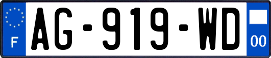 AG-919-WD
