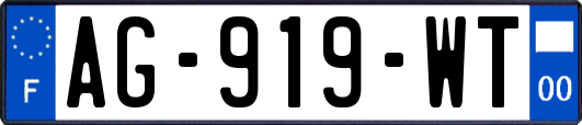 AG-919-WT