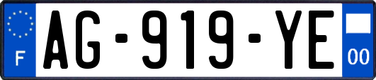 AG-919-YE