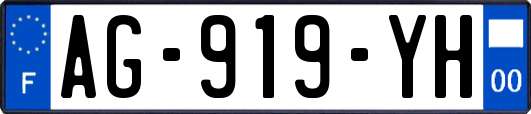 AG-919-YH