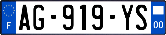 AG-919-YS