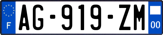 AG-919-ZM