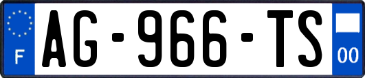 AG-966-TS