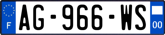 AG-966-WS