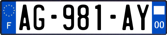 AG-981-AY