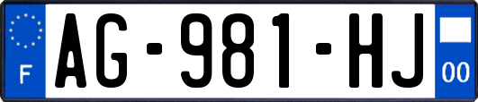 AG-981-HJ