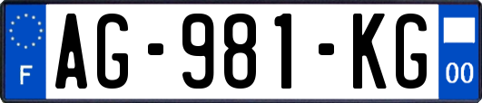 AG-981-KG