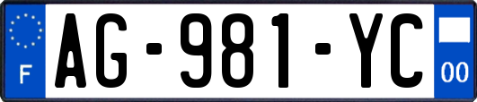 AG-981-YC