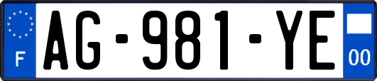 AG-981-YE