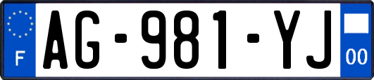 AG-981-YJ