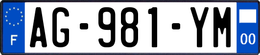 AG-981-YM