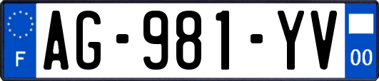 AG-981-YV
