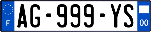 AG-999-YS