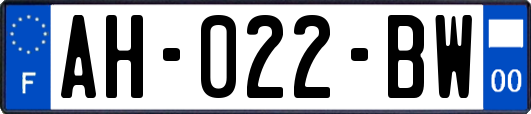 AH-022-BW