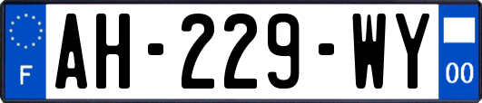 AH-229-WY