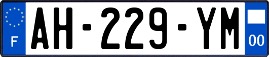 AH-229-YM