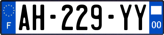 AH-229-YY