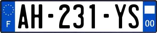 AH-231-YS