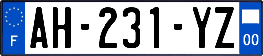 AH-231-YZ