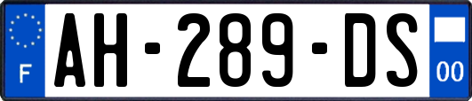 AH-289-DS