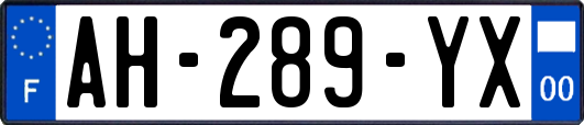 AH-289-YX
