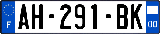 AH-291-BK