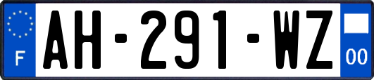 AH-291-WZ
