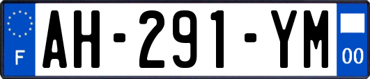 AH-291-YM