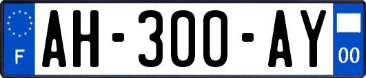 AH-300-AY