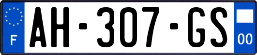 AH-307-GS