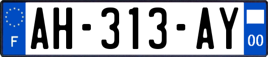 AH-313-AY