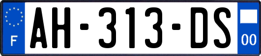 AH-313-DS