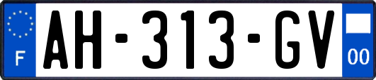 AH-313-GV